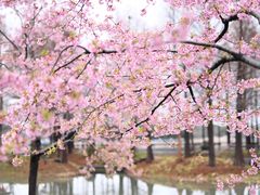 -上海辰山植物园