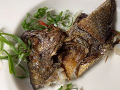 -莆田餐厅PUTIEN(颐堤港店)