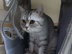 -瑞派宠物医院·24h·骨外科·皮肤科·全科宠物医疗转诊中心(沈阳浑南院)