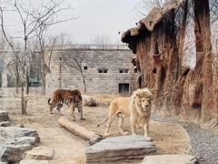 -北京野生动物园