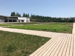 -前小桔亲子创意农场·草莓采摘·露营烧烤