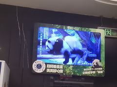 -眉州东坡(团结湖店)