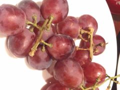 -三亚海棠湾万丽度假酒店