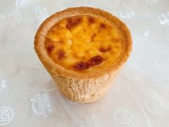 盘挞-阿可米朵动物奶油生日蛋糕(东特店)