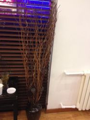 店内环境-红人馆造型世爵国际