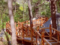 -大岭沟猕猴桃谷风景区