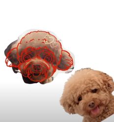 -记号刺青tattoo纹身工作室