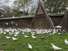 -上海野生动物园