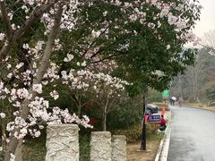 -南山风景名胜区