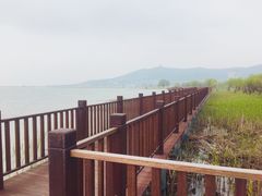 -太湖湖滨国家湿地公园-停车场