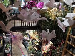 -范设计花园餐酒咖·中西餐·咖啡厅·酒馆