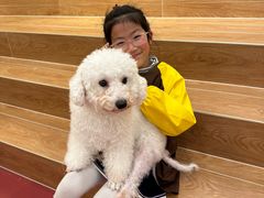 -和它·交个朋友·狗咖猫咖(爱琴海店)