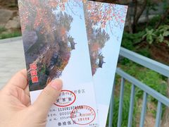 -六里坪国家森林公园