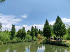 -捞渔河湿地公园