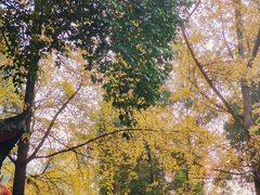 -成都老君山