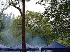 -南宁良凤江国家森林公园