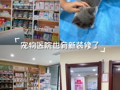 -艾贝尔宠物医院·24H转诊中心·肿瘤猫专科(江宁双龙店)