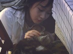 -海边的猫和咖啡馆