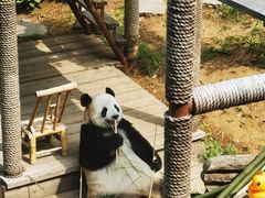 -大连森林动物园