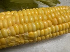 -维乐口腔医院(星海湾分院)
