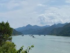 -羚羊峡古栈道森林公园