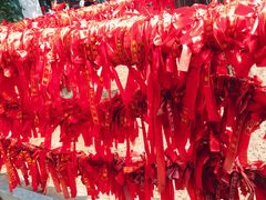 -荣德灶台鱼(圣泉寺店)