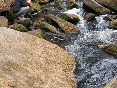 -汤旺河林海奇石景区