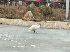 -太原动物园