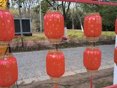 -武汉园博园(武汉自然博物馆)