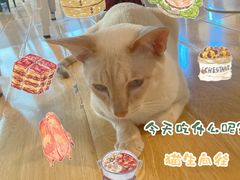 -Cappucimeow猫咪咖啡馆(韦伯时代店)
