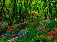 -上海共青森林公园