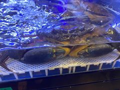 -simply thai天泰(长泰广场店)