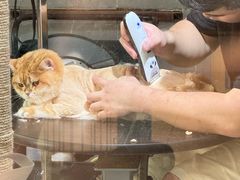 -悠尼宠物·独立低压伊珊娜洗护·美容·寄养(兰谷路店)