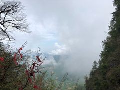 -塔云山