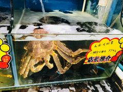 -蚝专家(北滘店)