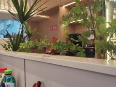 -大可泥炉烤肉(中街店)