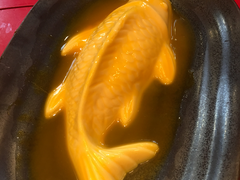 斗鱼-斗鸡饭场伙(新南门店)