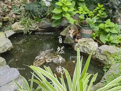 -谷咖啡·鲜花绿植花园餐厅