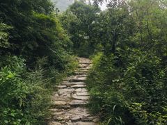 -阳台山自然风景区