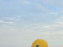 -深圳人才公园