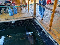 -蓝湾碧波·老字号·疍家非遗海上餐厅
