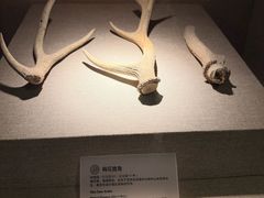 -南越王博物院(王宫展区)