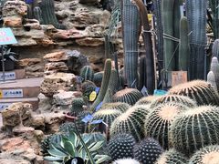 -国家植物园南园