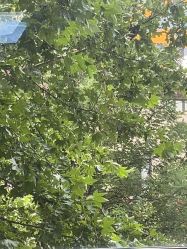 -小梨·OndaPro·专业脱毛连锁机构