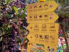 -正佳雨林生态植物园
