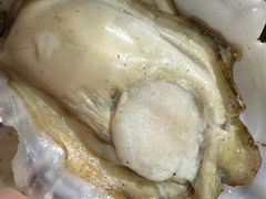 -顺德哥卜卜贝(旗舰店)