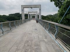 -东莞植物园