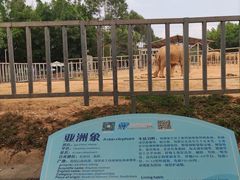 -东莞香市动物园
