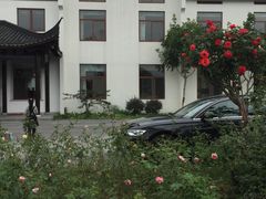 -鹅湖玫瑰文化园