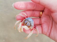 -北海金海湾红树林生态旅游区